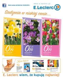 Sadzenie w niskiej cenie