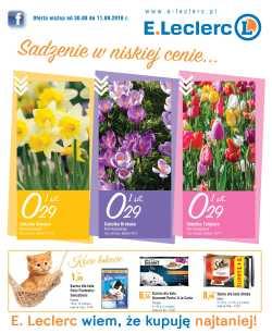 Sadzenie w niskiej cenie