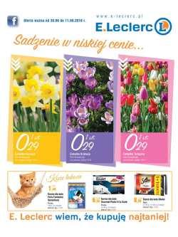 Sadzenie w niskiej cenie