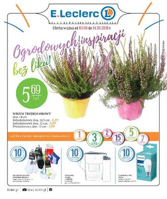 Ogrodowych inspiracji